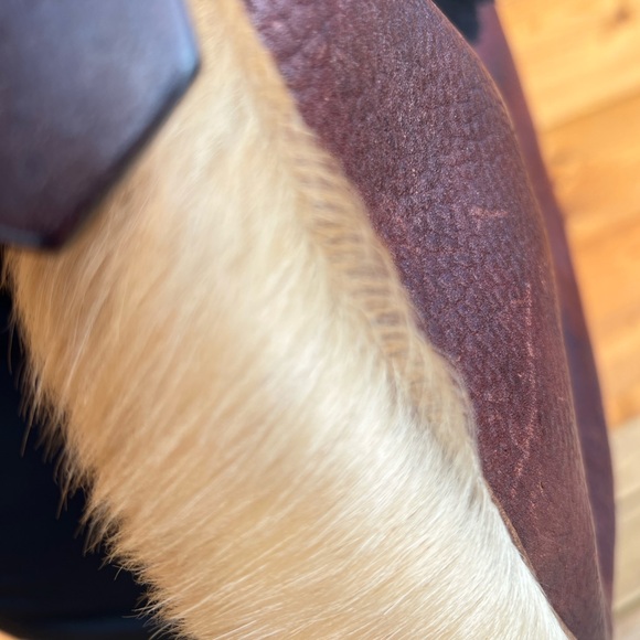 Dooney & Bourke large circle Hobo bag - Picture 7 of 11